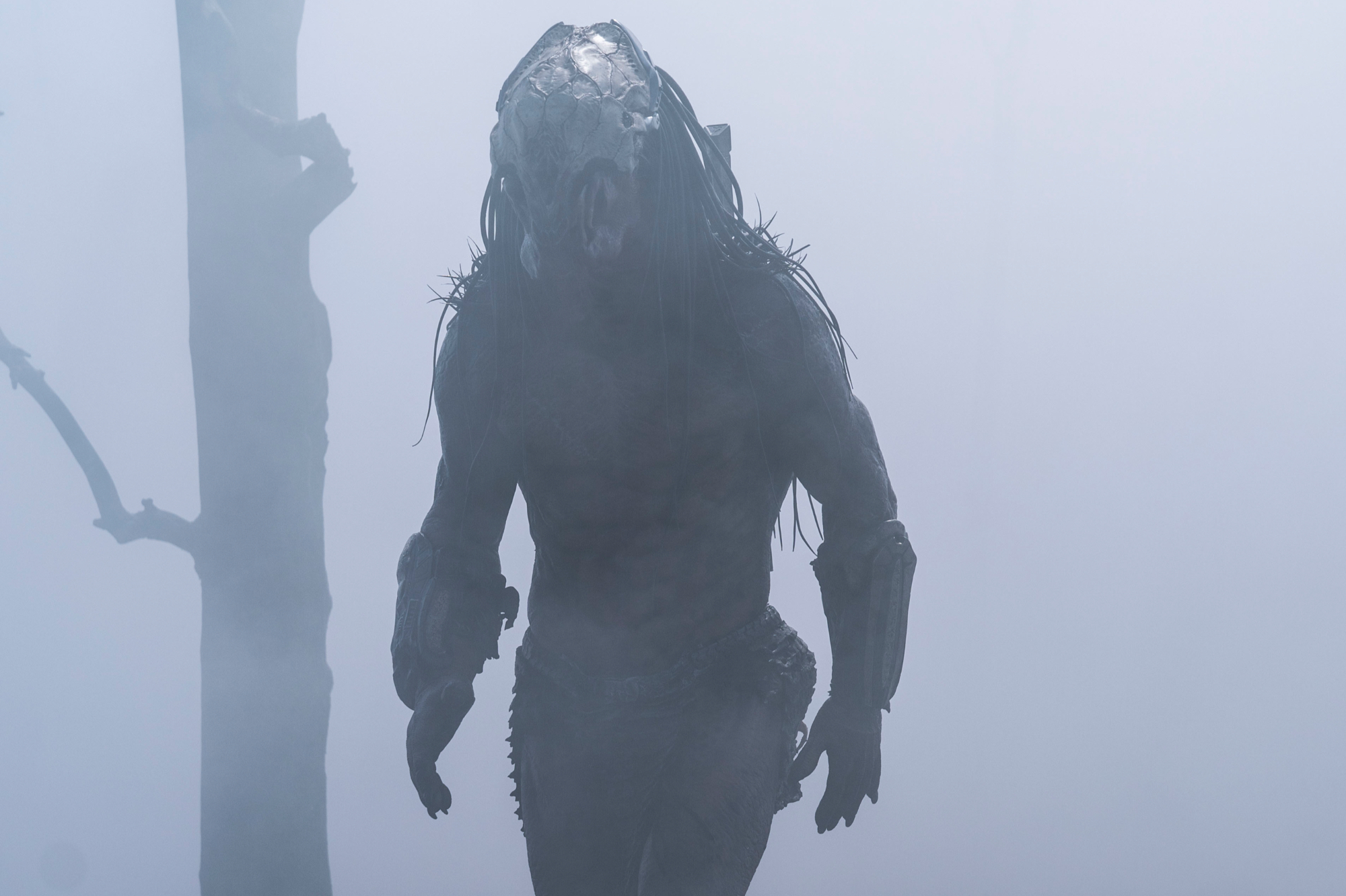 《猎物》戴恩·迪列格罗饰演捕食者，猎杀人类。他穿着捕食者的服装站在迷雾中，背景中只有一棵树。